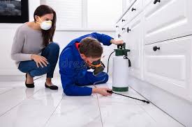 Best Residential Pest Control  in Sweet Home, AR